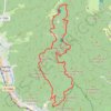 Marche buissonniére Thann GPS track, route, trail